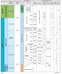Der Übergang Jura/Kreide als Beispiel der stratigraphischen Tabellen von Niedersachsen