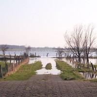 Hochwasser Aller