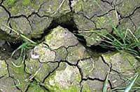 Um Schäden zu vermeiden, muss man die Eingenschaften der Böden kennen-hier Trockenrisse dargestellt