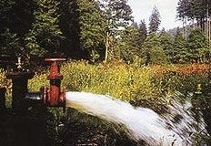 Artesisch zu Tage tretendes Grundwasser aus einer Bohrung im Wellespringtal