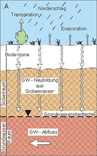 Grundwasserneubildung aus Niederschlag