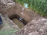 Bodenprofil mit freigelegter Grundwasseroberfläche