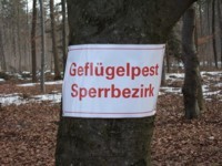 Geflügelpest - Sperrbezirk