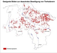 Geeignete Böden für die Verwesungsoption