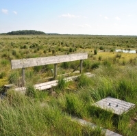 Ahlenmoor