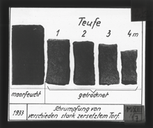 Beispiel aus der Diasammlung des Torfinstituts