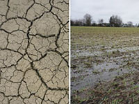 Klimawandel Boden