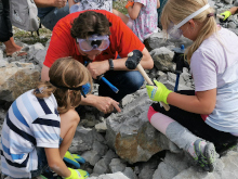 Fossiliensuche im Geopark TERRA.vita