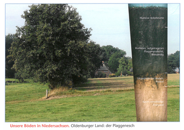 Oldenburger Land: Plaggenesch.