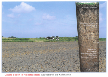 Ostfriesland: Kalkmarsch.
