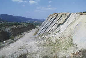 Steilstehende Kalksteinschichten am Langenberg bei Oker.