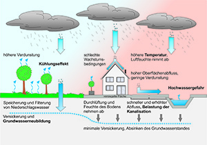 Auswirkungen Bodenversiegelung