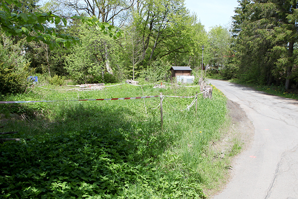 Senke, Straße „Am Grumbach“, Hahnenklee-Bockswiese, Stilllegung, Schacht, Johann Friedrich, Bodenabsenkungen