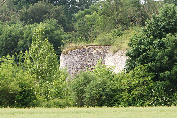 Ehemaliger Kalksteinbruch, Salzgitter-Salder, weltweiter geologischer Referenzpunkt