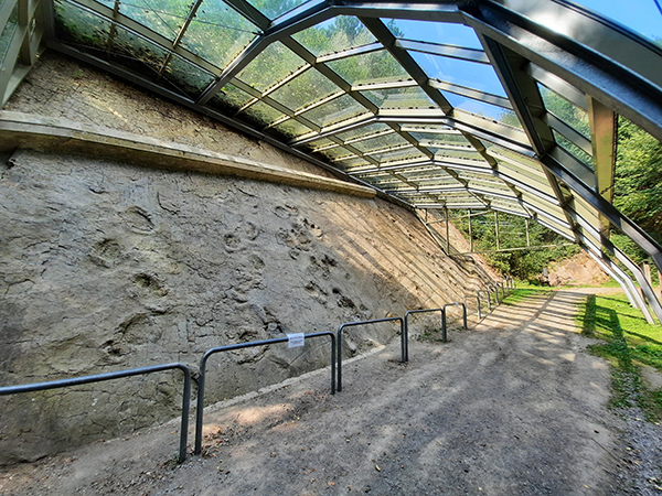 Saurierfährten, Bad Essen-Barkhausen, Natur- und Geopark TERRA.vita