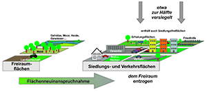 Flächenneuinanspruchnahme