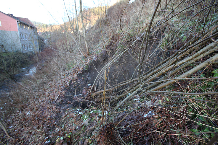 Böschungsbereich, Innerste, Wildemann, Tagesbruch