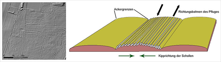 Entstehung von Wölbäckern