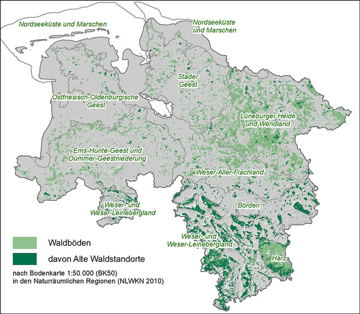 Waldbodenkarte