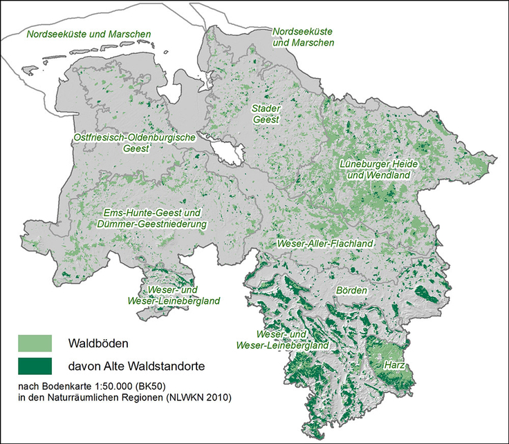 Die Verbreitung der niedersächsischen Waldböden. Dazu zählen auch sogenannte alte Waldstandorte, die häufig seit mehreren hundert Jahren mit Wald bestanden und deshalb besonders wenig durch den Menschen beeinträchtigt sind.