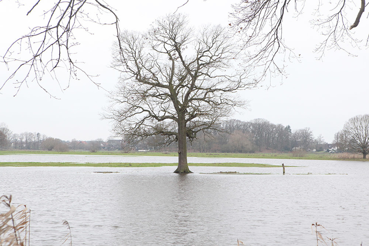 Nach den vielen Niederschlägen des Winters sind viele Flächen zeitweise überflutet.