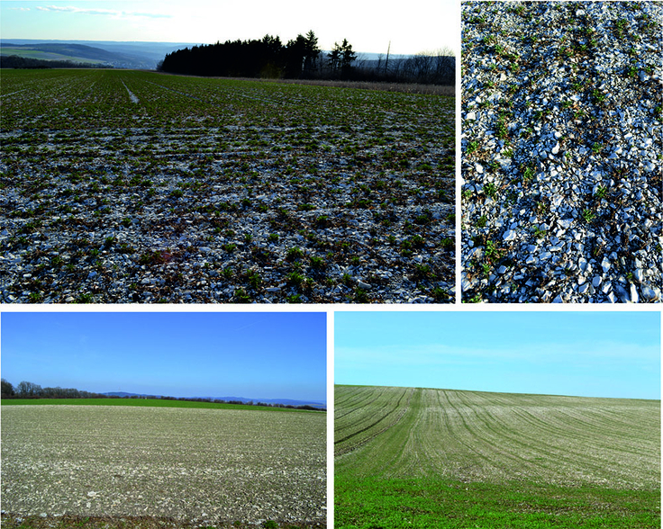 Sommerschnee