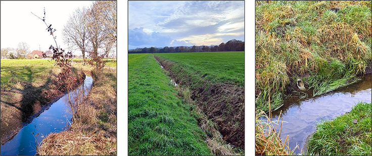 Eine Kombination aus drei Bildern zeigt drei unterschiedliche Entwässerungsgräben in landwirtschaftlich genutzten Flächen.
