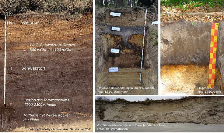 Archivböden – Beispiele
