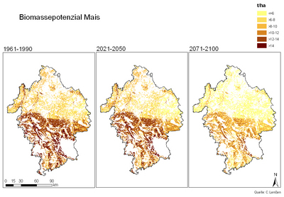 Biomassepotenzial Mais