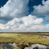 Niedersächsische Moorlandschaft